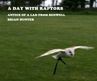 A DAY WITH RAPTORS book cover