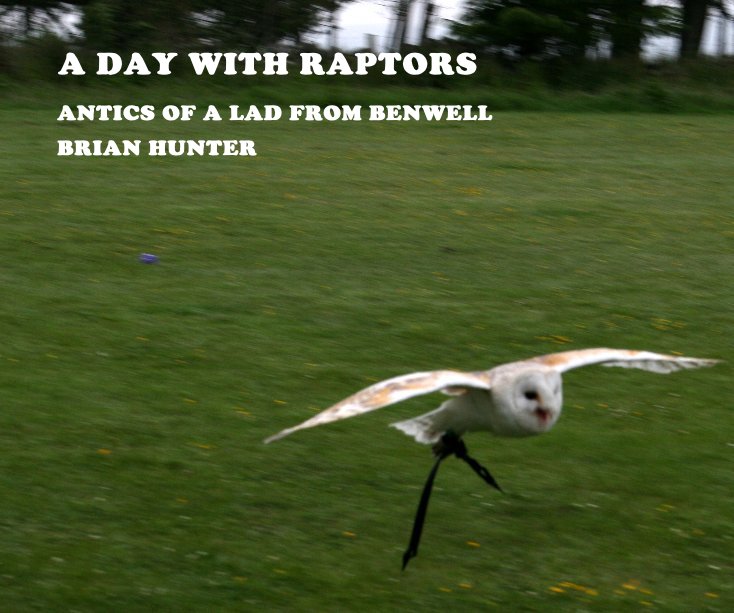 View A DAY WITH RAPTORS by BRIAN HUNTER
