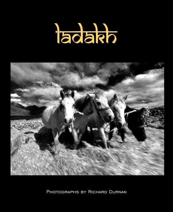 View Ladakh by Richard Durnan