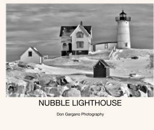 NUBBLE LIGHTHOUSE book cover