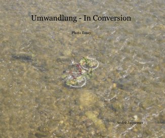 Umwandlung - In Conversion book cover