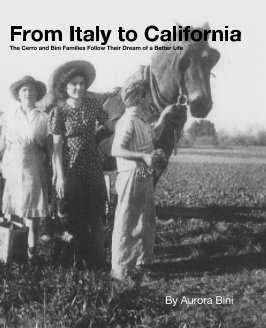 From Italy to America book cover