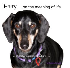 Harry ... on the meaning of life book cover