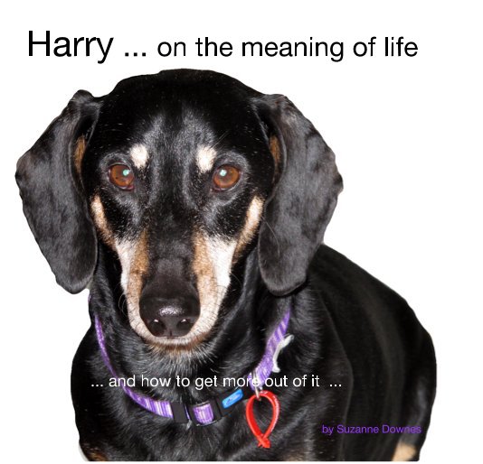 View Harry ... on the meaning of life by Suzanne Downes