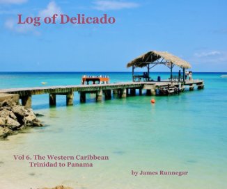 Log of Delicado book cover