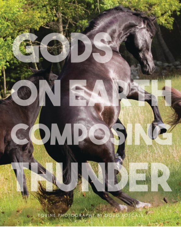 View Gods on Earth Composing Thunder by Doug Foscale