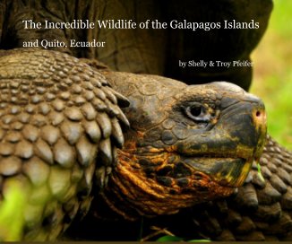 The Incredible Wildlife of the Galapagos Islands book cover