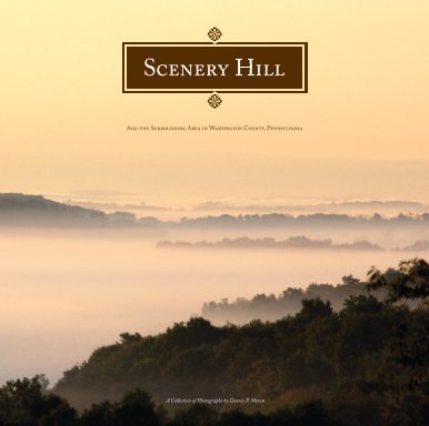 Scenery Hill book cover