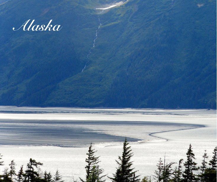 View Alaska by Amy D.