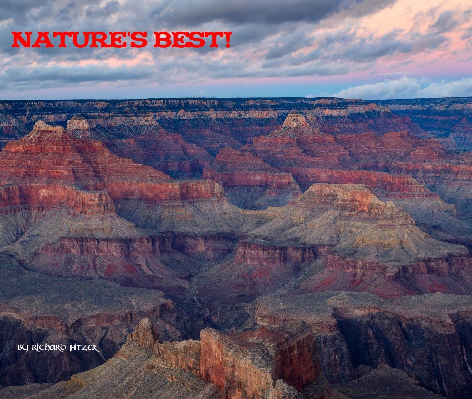 Ver Nature's Best! por Richard Fitzer