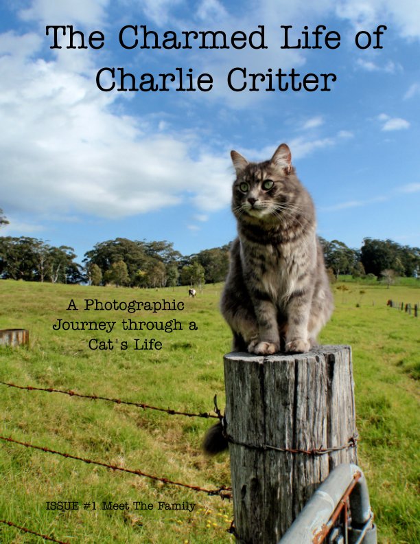 Visualizza The Charmed Life of Charlie Critter di Amanda Andrews