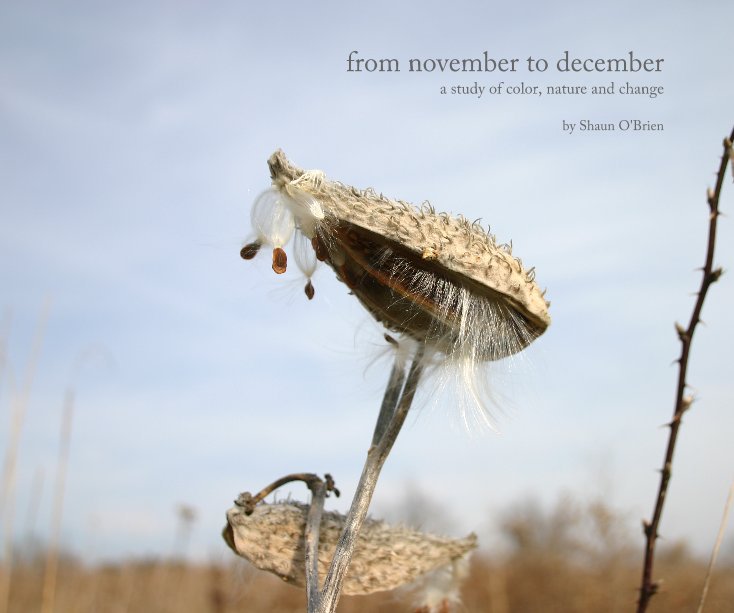 View from november to december by Shaun O'Brien
