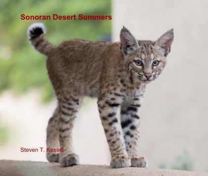 Sonoran Desert Summers book cover