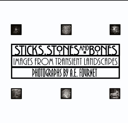 View Sticks, Stones & Bones by A.E. Fournet