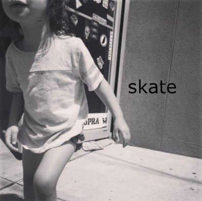 skate book cover