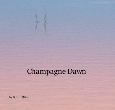 Champagne Dawn book cover