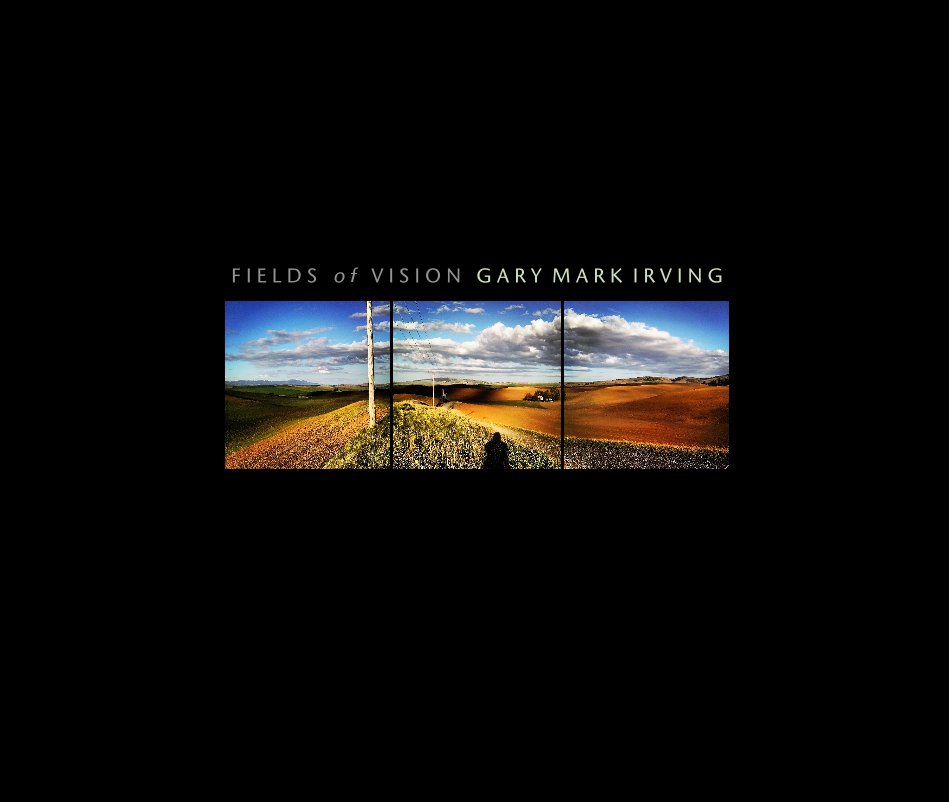 Visualizza Fields of Vision di Gary Mark Irving