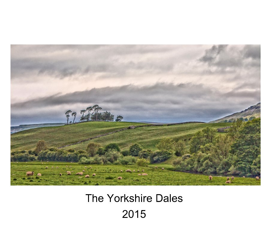 View The Yorkshire Dales (2015) by Chris Orchin