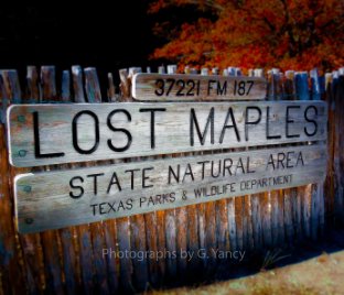 The Lost Maples book cover