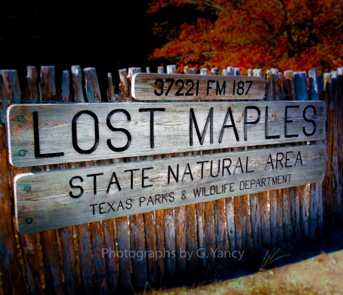 View The Lost Maples by Gaylon Yancy
