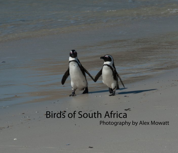 View Birds of South Africa by Alexander Mowatt