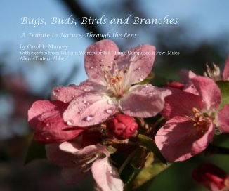 Bugs, Buds, Birds and Branches book cover