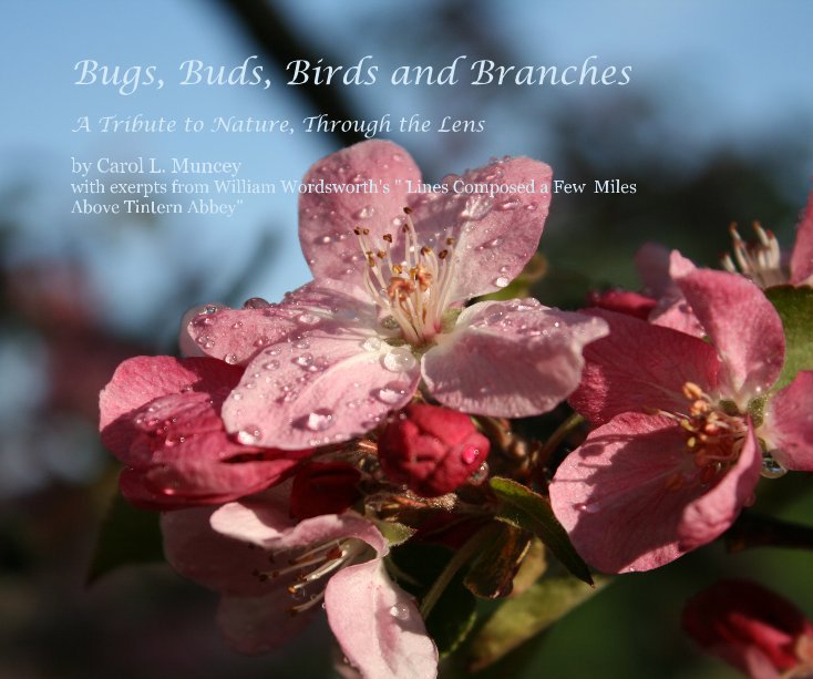 View Bugs, Buds, Birds and Branches by Carol L. Muncey with exerpts from William Wordsworth's " Lines Composed a Few Miles Above Tintern Abbey"