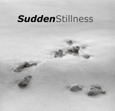 SuddenStillness book cover