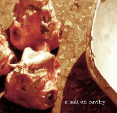 a salt on cavilry book cover