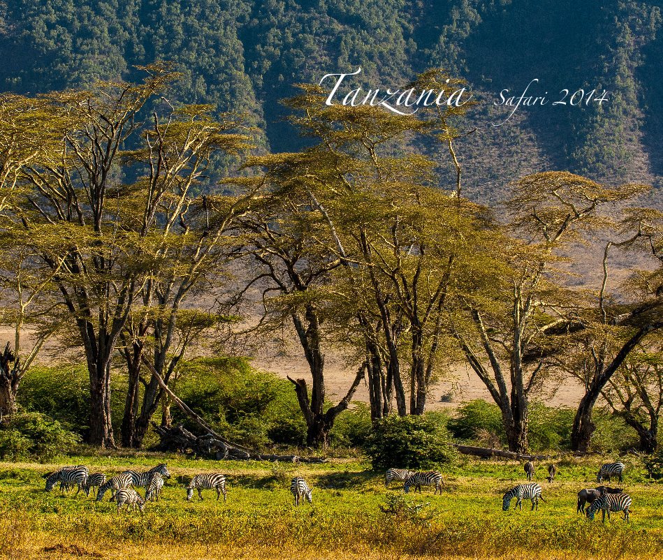 Visualizza Tanzania Safari 2014 di Fabian Michelangeli