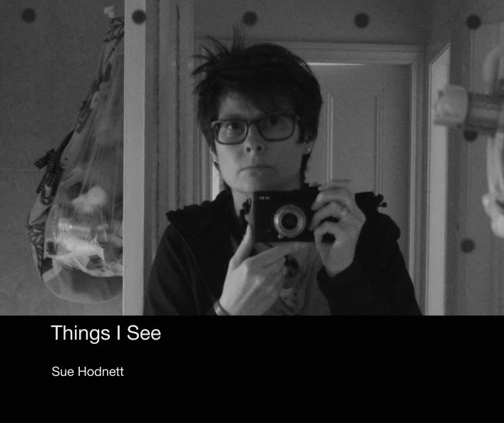 View Things I See by Sue Hodnett