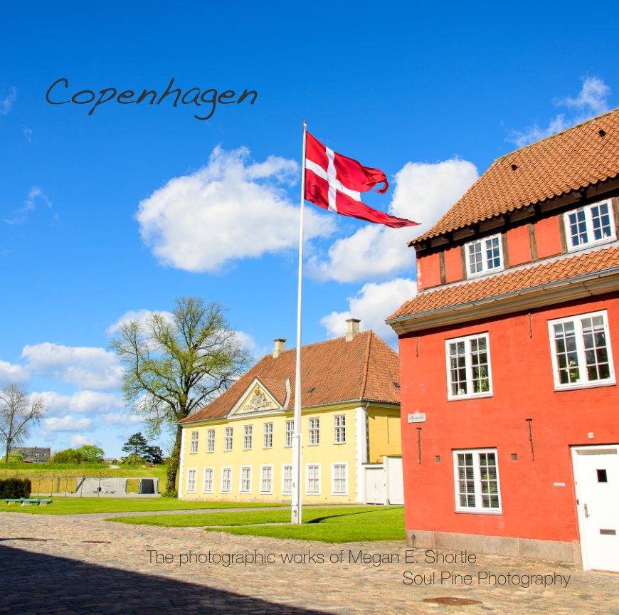 View Copenhagen by Megan E. Shortle