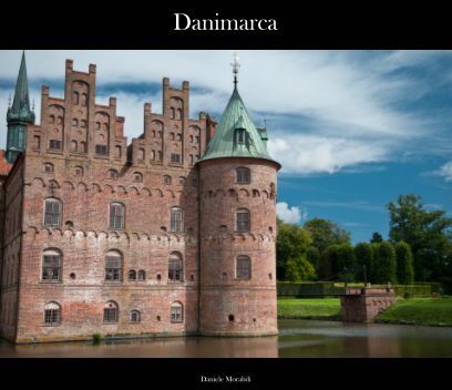 Danimarca book cover