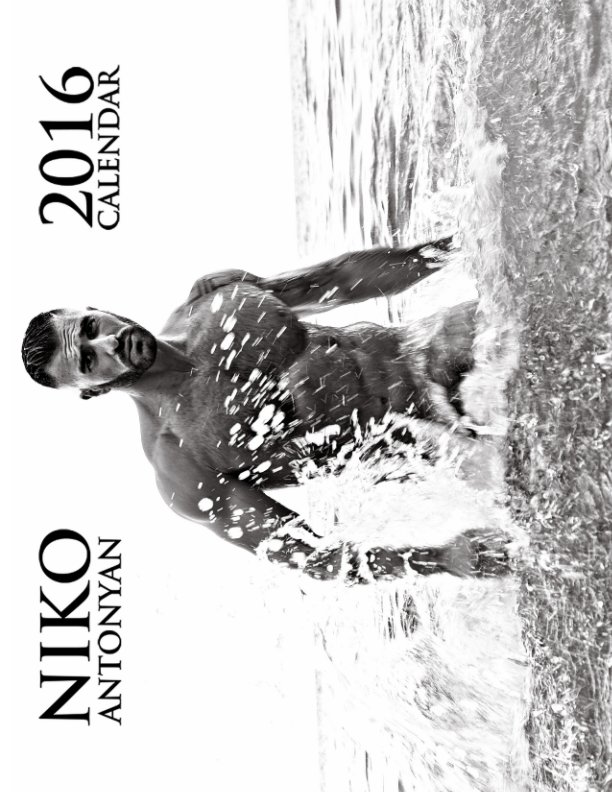 View Niko Antonyan 2016 Calendar by ValdesArtHouse