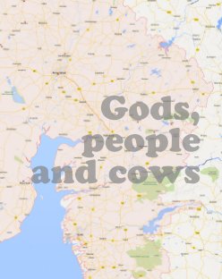 Gods, people and cows book cover