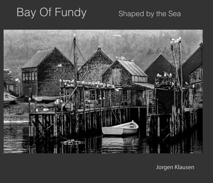 View Bay of Fundy by Jorgen Klausen