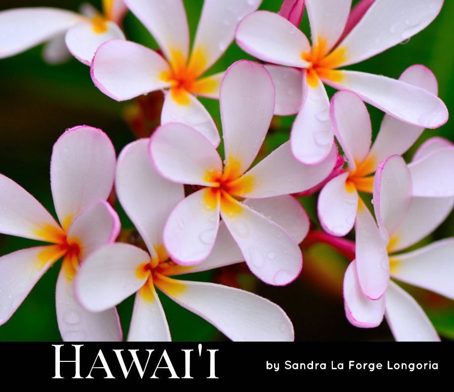 View HAWAI'I by Sandra La Forge Longoria