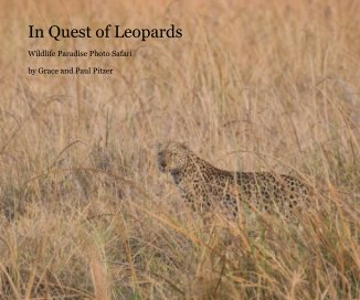 In Quest of Leopards book cover