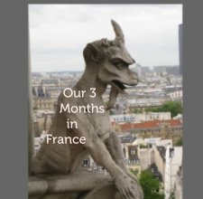Our 3               Months                 in           France book cover