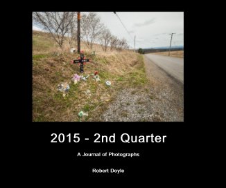 2015 - 2nd Quarter book cover