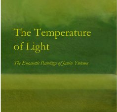 The Temperature of Light book cover