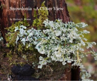 Snowdonia - A Closer View book cover