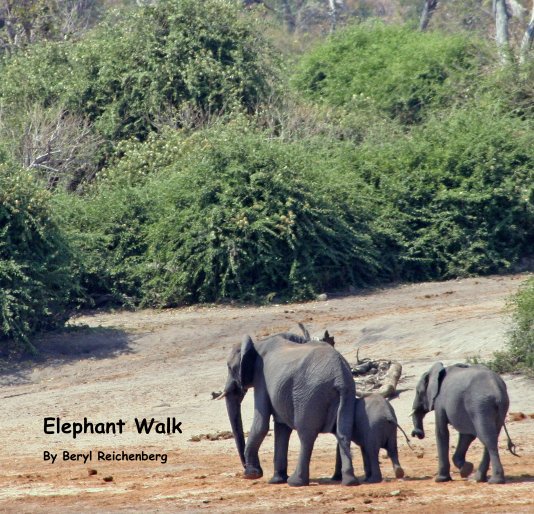 Ver Elephant Walk por Beryl Reichenberg