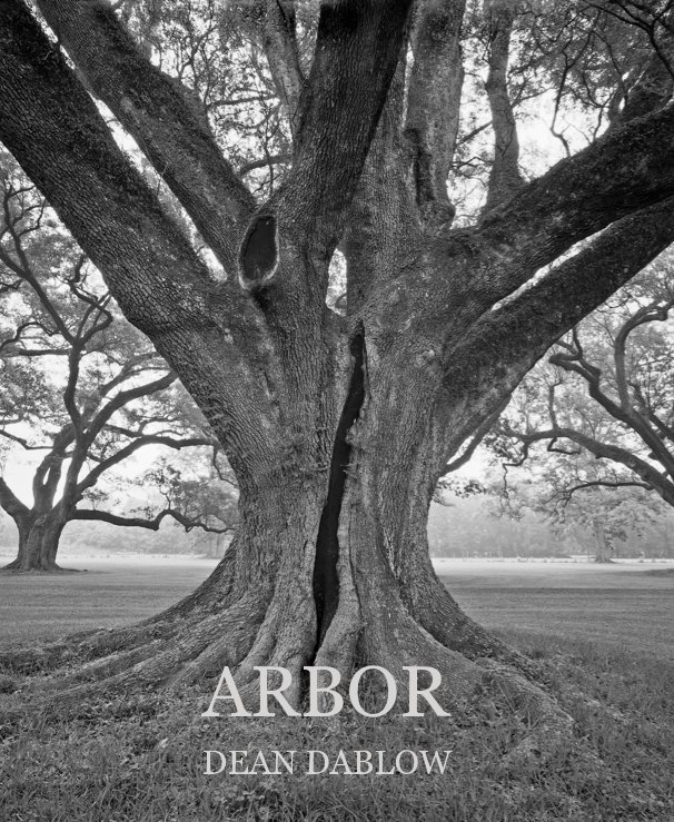 View ARBOR by DEAN DABLOW