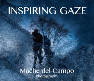 Inspiring Gaze book cover