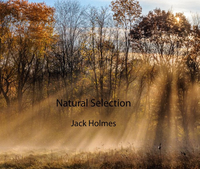 View Natural Selection by Jack Holmes