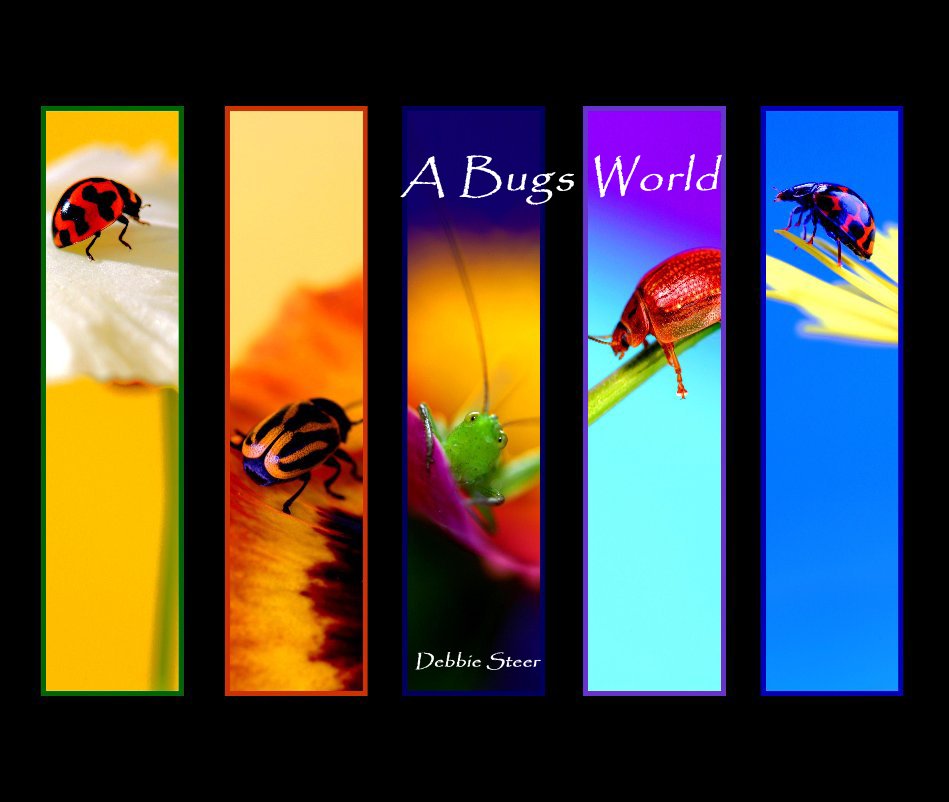 View A Bugs World by Debbie Steer
