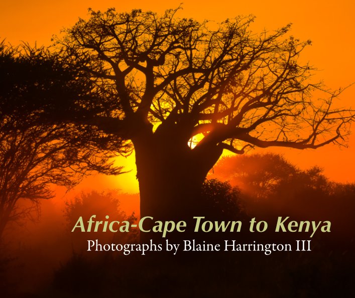 View Africa-Cape Town to Kenya by Blaine Harrington III