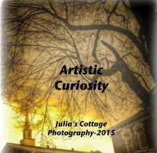 Artistic Curiosity book cover