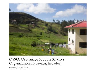 OSSO: Orphanage Support Services Organization in Cuenca, Ecuador book cover